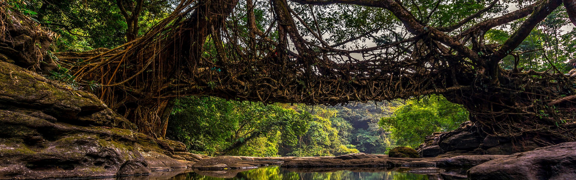 meghalaya